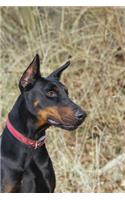 Black Doberman Dog Journal