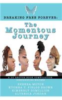 Momentous Journey