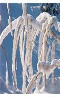 Journal Snow Covered Twigs