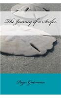 The Journey of a Surfer