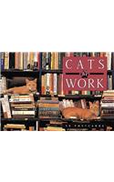 Cats at Work