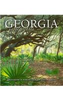 Georgia Unforgettable (Cumberland Island Cover)