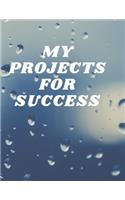 My Projects for Success
