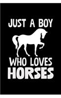 Just A Boy Who Loves Horses