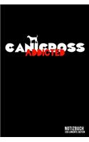 Canicross addicted