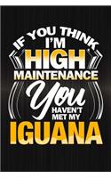 If You Think I'm High Maintenance You Haven't Met My Iguana: Funny Reptile Journal For Pet Lizard Owners: Blank Lined Notebook For Herping To Write Notes & Writing