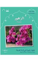 Small Wonders: Flowers