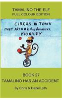 Tamalino Has an Accident