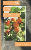 Sunshine and Concrete