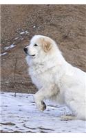 Pyrenean Mountain Dog Notebook