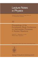 Proceedings of the Europhysics Study Conference on Intermediate Processes in Nuclear Reactions