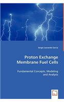 Proton Exchange Membrane Fuel Cells