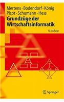 Grundzuge der Wirtschaftsinformatik