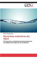 Derechos colectivos de agua