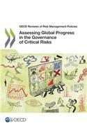 Assessing global progress in the governance of critical risks: (OECD reviews of risk management policies)
