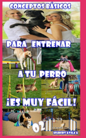 Conceptos Básicos Para Entrenar a Tu Perro ¡es Muy Fácil!