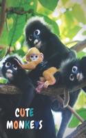 Cute Monkeys: A Great Picture Book for Kids with Interesting Facts About Different Monkey Species - Animal Picture Book for Children - Adorable Images for Childre