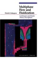 Multiphase Flow and Fluidization