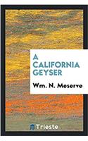 California Geyser