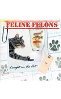 Feline Felons