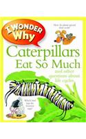 I Wonder Why Caterpillars Eat So Much