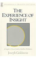 The Experience of Insight