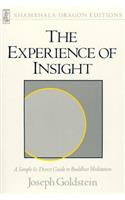 The Experience Of Insight