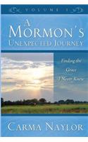 Mormon's Unexpected Journey