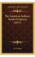 The American Indians, North Of Mexico (1917)