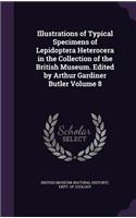 Illustrations of Typical Specimens of Lepidoptera Heterocera in the Collection of the British Museum. Edited by Arthur Gardiner Butler Volume 8