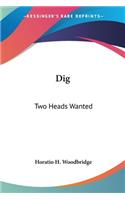 Dig