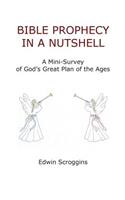 Bible Prophecy in a Nutshell: A Mini-Survey of God's Great Plan of the Ages(English)