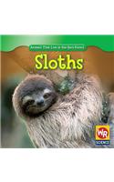 Sloths