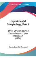 Experimental Morphology, Part 1