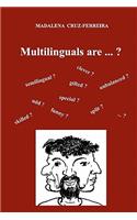 Multilinguals Are ...?