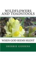 Wildflowers and Toadstools: When God Seems Silent