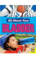 Bladder