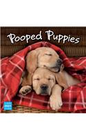 2021 Pooped Puppies 16-Month Wall Calendar