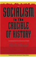 Socialism In The Crucible Of History
