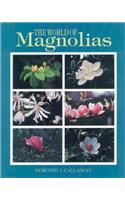World of Magnolias