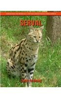 Serval