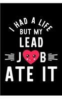 I Had A Life But My Lead Job Ate It