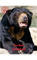 Sun Bear Sketchbook: Blank Paper for Drawing, Doodling or Sketching 120 Large Blank Pages (8.5x11) for Sketching, inspiring, Drawing Anything Kids Love to do and to Impr(81 Sketchbooks for Drawing)