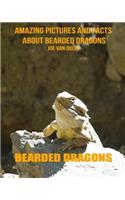 Bearded Dragons