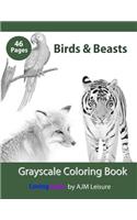 Birds & Beasts