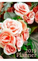 2019 Planner Vol. 1