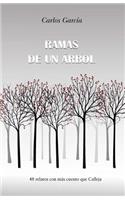 Ramas de un árbol