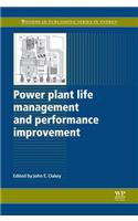 Power Plant Life Management and Performance Improvement