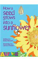 How A Seed Grows Into A Sunflower: (Amaze)