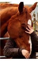 A Horse Hug Journal: Take Notes, Write Down Memories in this 150 Page Lined Journal